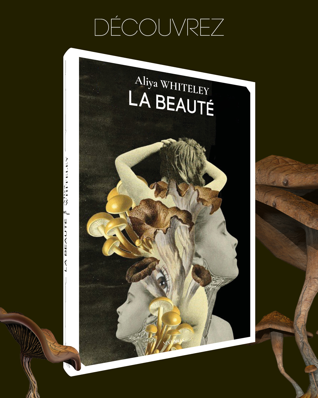 Carrousel La Beauté