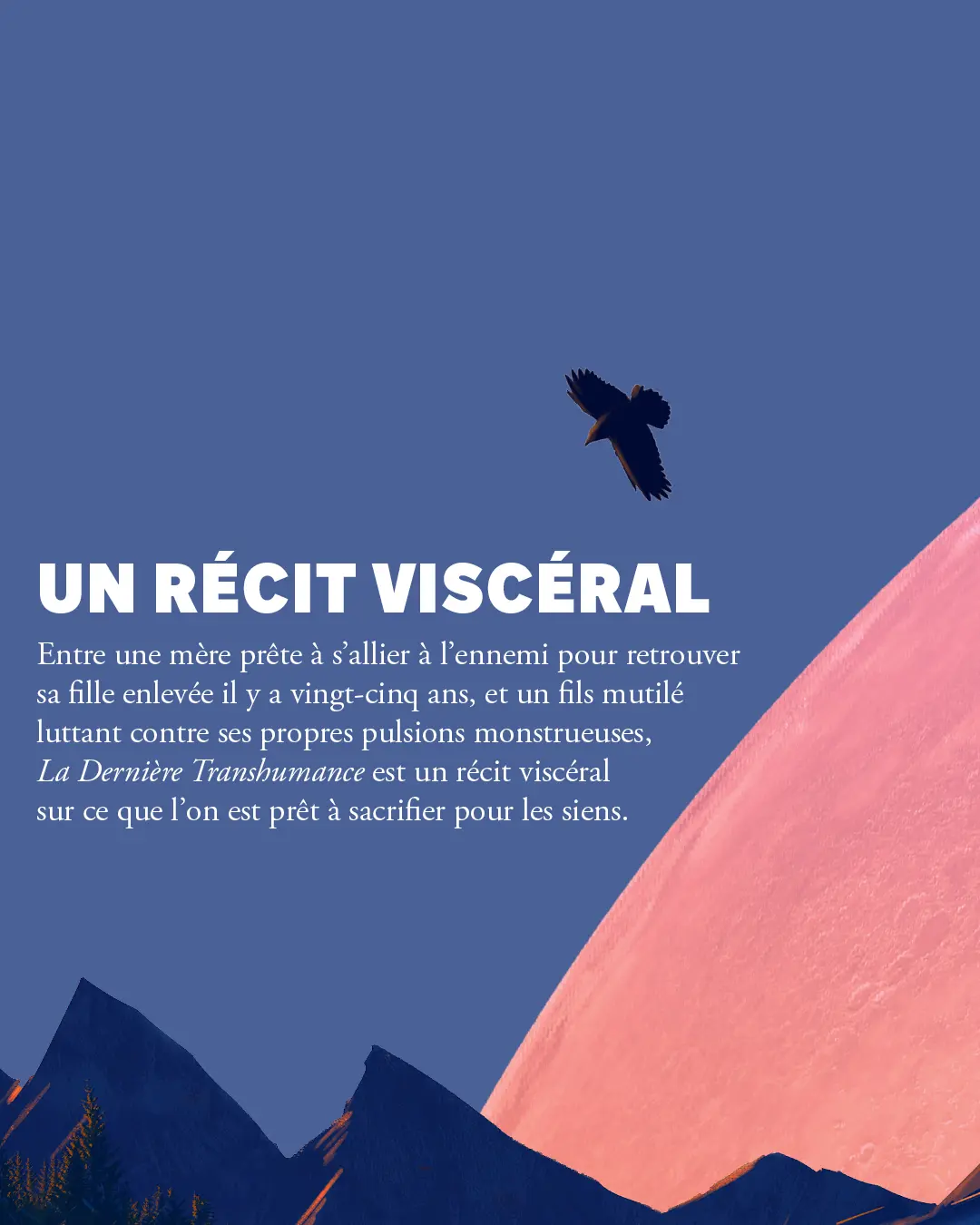 Carrousel La Dernière trasnhumance4