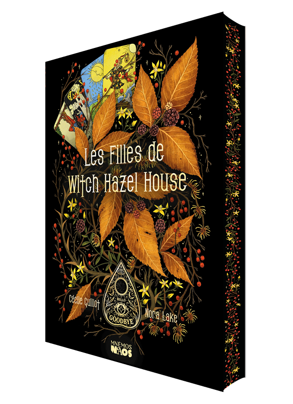 Les Filles de Witch Hazel House broché 3D
