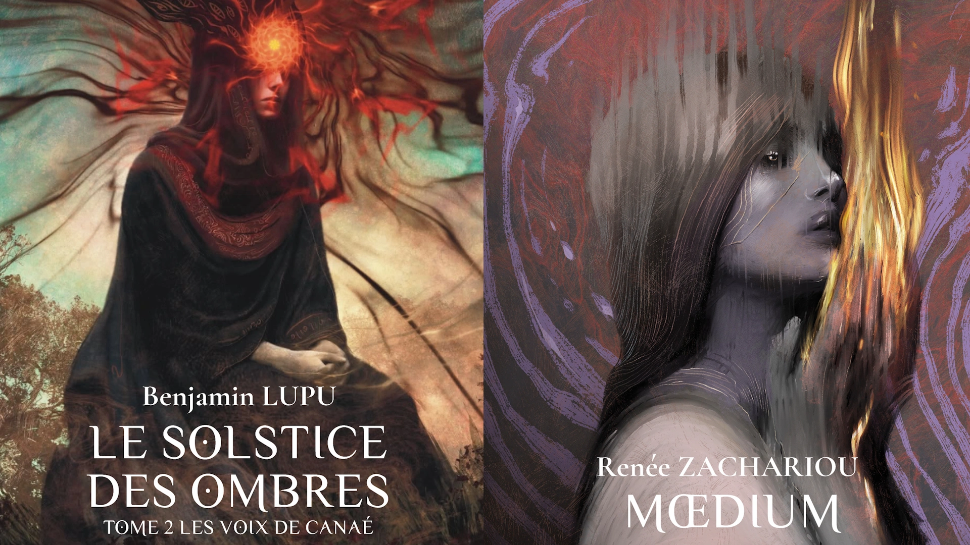 Dimension lupu zachariou